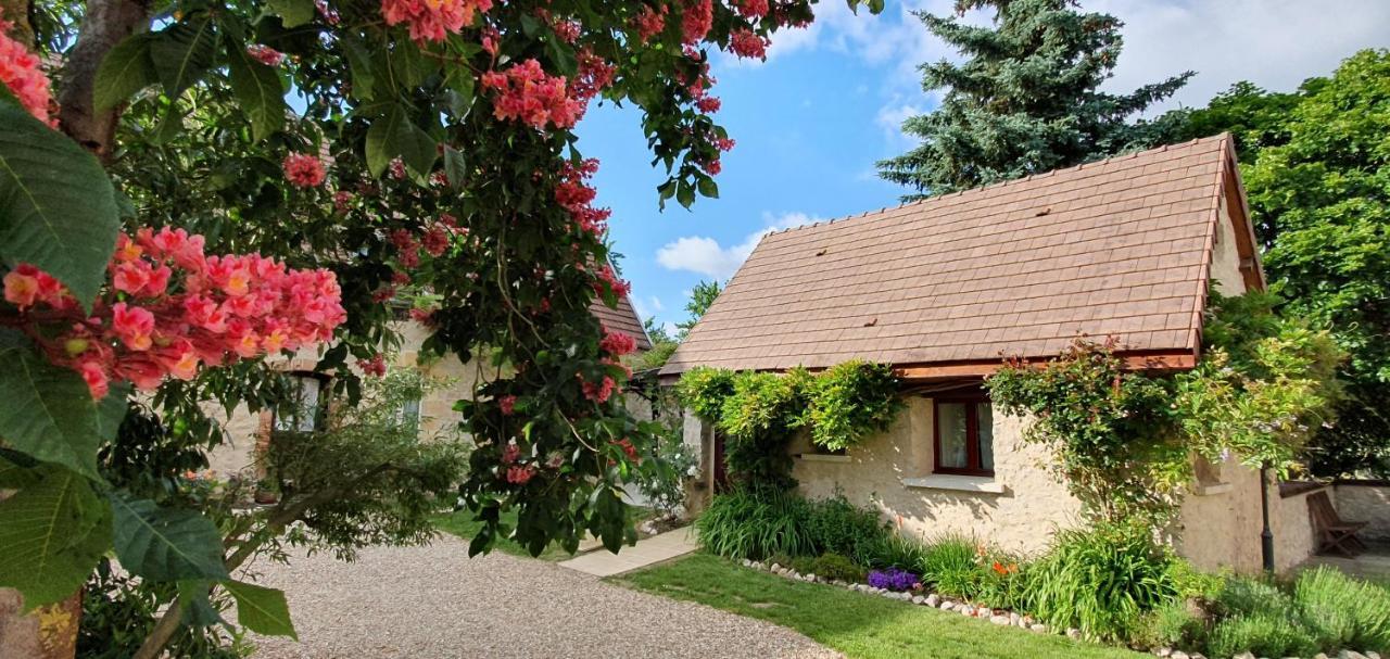 Domaine Des Medards Apartment Beaulieu-sur-Loire Bagian luar foto